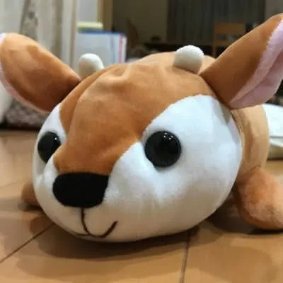 鹿さん（林航平）の写真